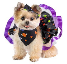 Load image into Gallery viewer, Halloween Candy Pet - Tutu, bandana &amp; bow set
