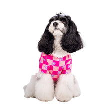 Load image into Gallery viewer, Dreaming of daisys dog cooling tee
