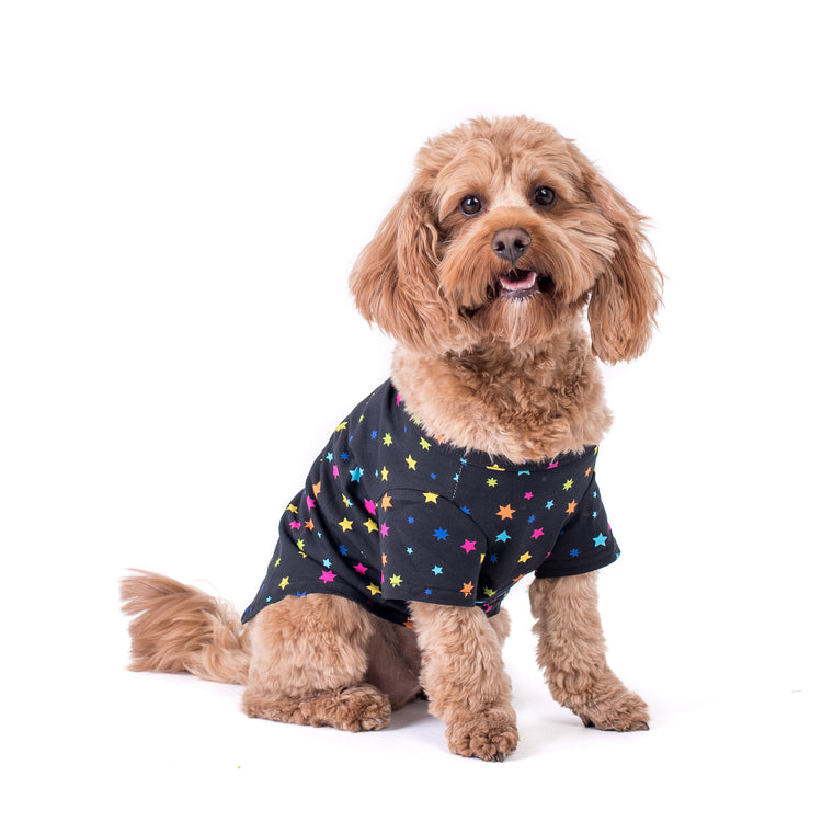 Star gazer dog shirt
