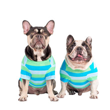 Load image into Gallery viewer, Seriously Stripey dog cooling shirt
