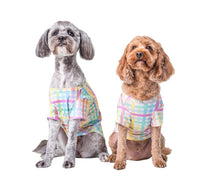 Load image into Gallery viewer, Colour me gingham dog shirt
