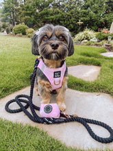 Load image into Gallery viewer, Cotton Candy Luxury Step-In Harness
