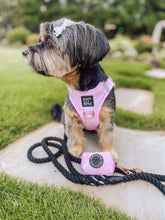Load image into Gallery viewer, Cotton Candy Luxury Step-In Harness

