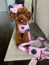 Load image into Gallery viewer, Cotton Candy Luxury Step-In Harness

