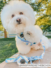 Load image into Gallery viewer, Leash - Blueberry Lemonade
