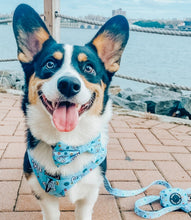 Load image into Gallery viewer, Adjustable Harness - Cute AF
