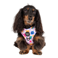 Load image into Gallery viewer, Pablo &amp; Co. Boutique - Delightful Daisies: Adjustable Dog Harness

