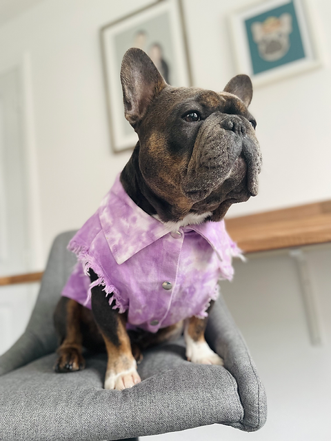 Lilac Tie-dye Dog Denim Vest