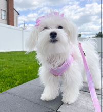 Load image into Gallery viewer, Cotton Candy Luxury Step-In Harness
