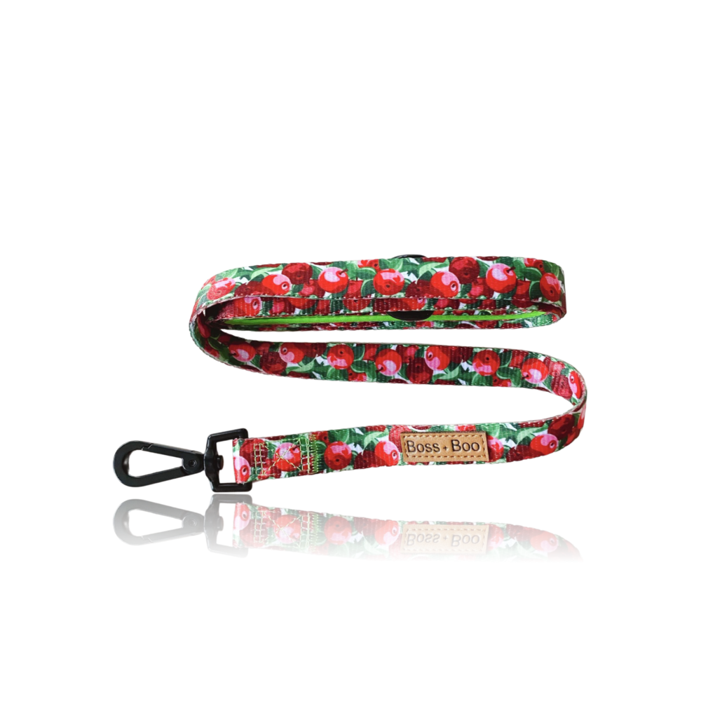 Apple Delight - Dog Leash